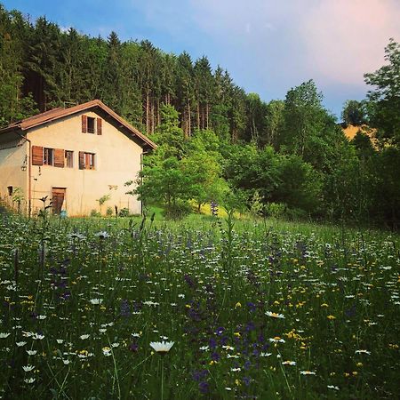 Alla Casetta B&B Cesiomaggiore Luaran gambar