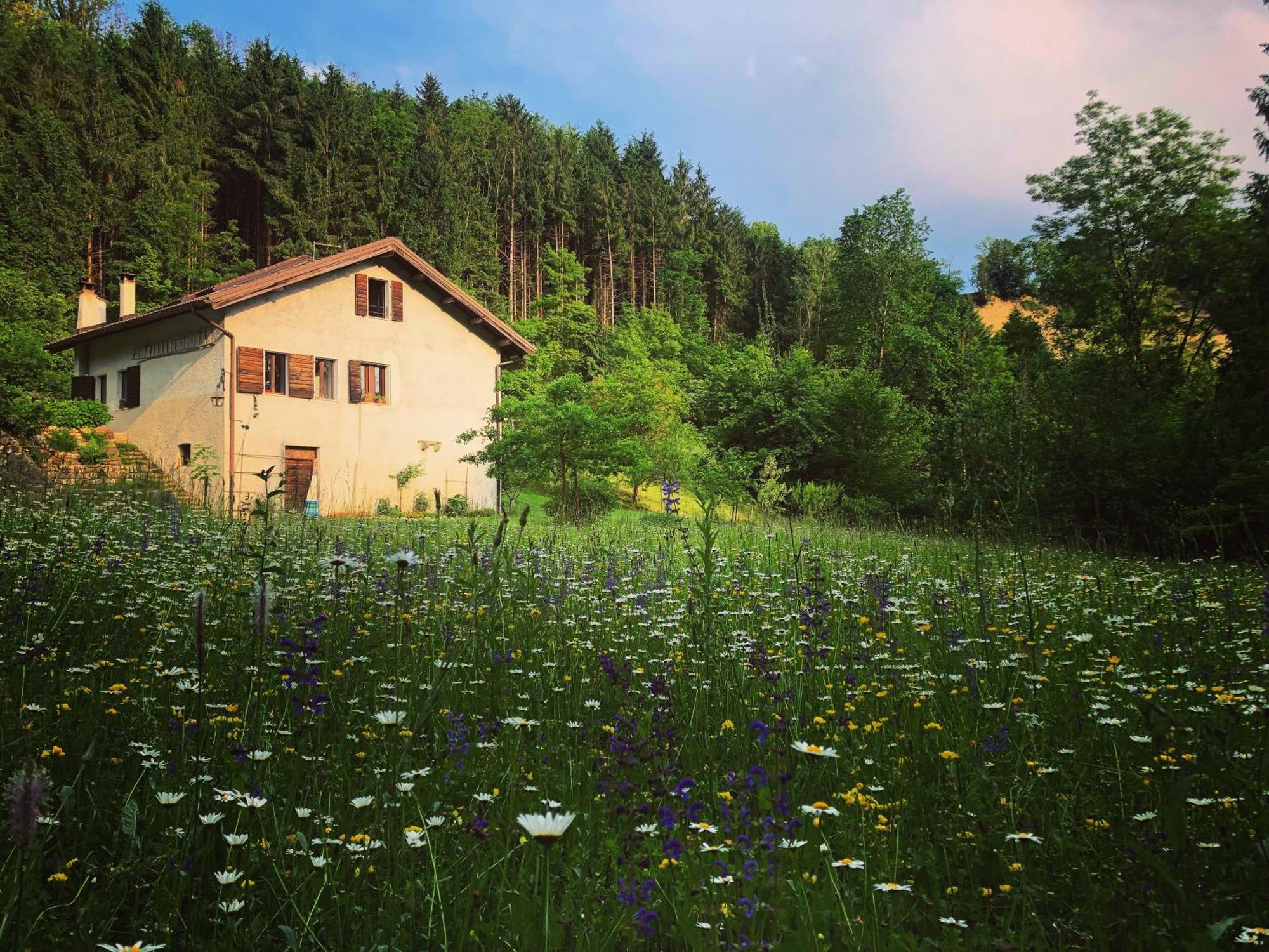 Alla Casetta B&B Cesiomaggiore Luaran gambar