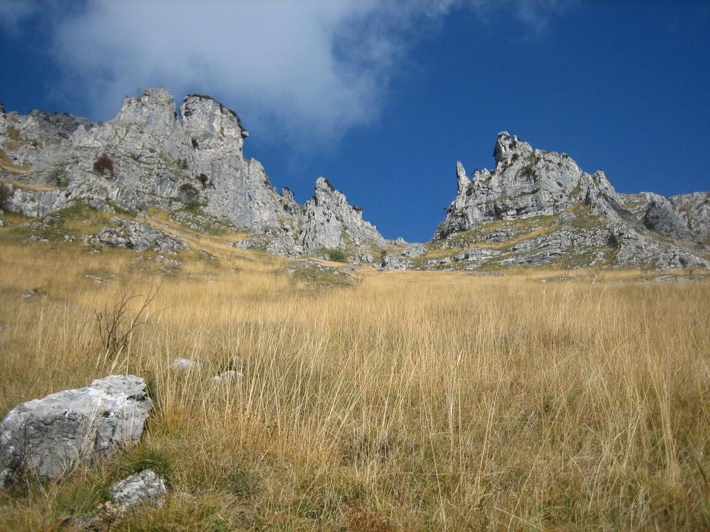 Alla Casetta B&B Cesiomaggiore Luaran gambar