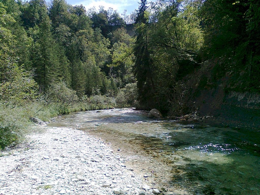 Alla Casetta B&B Cesiomaggiore Luaran gambar